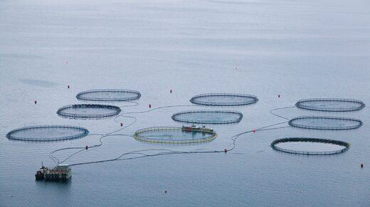 En fiskeodling utanför Streymoy, Färöarna. bild på En fiskeodling utanför Streymoy, Färöarna.